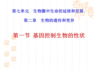 【教学课件】第一节基因控制生物的性状.ppt