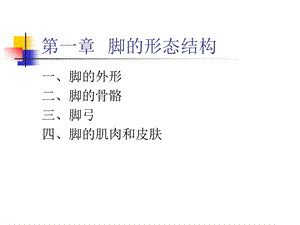 《脚的形态结构》PPT课件.ppt