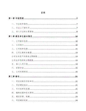 南阳户外服装项目可行性研究报告.docx