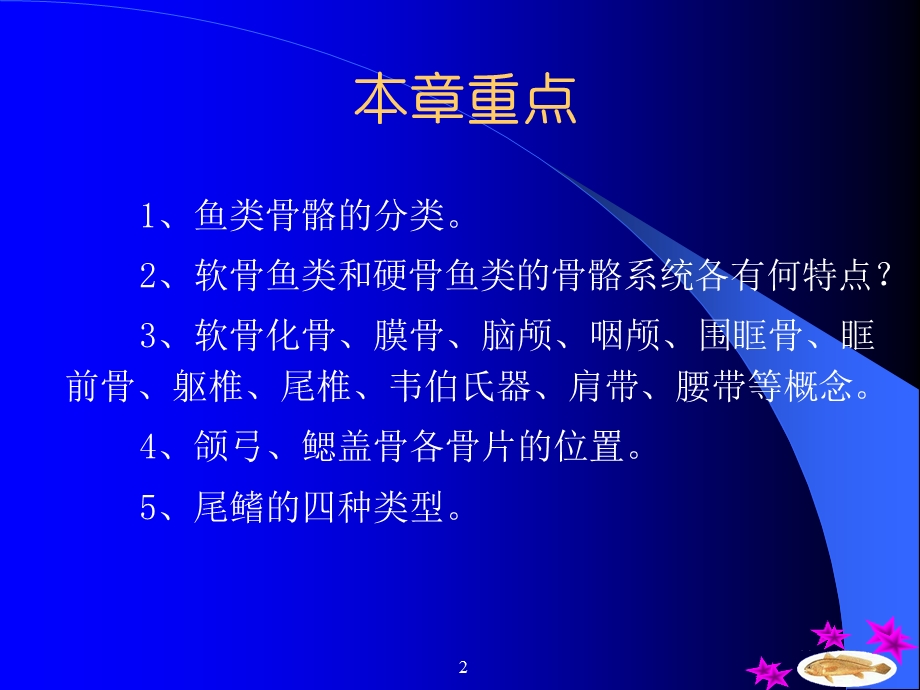 《硬骨鱼的骨骼系统》PPT课件.ppt_第2页