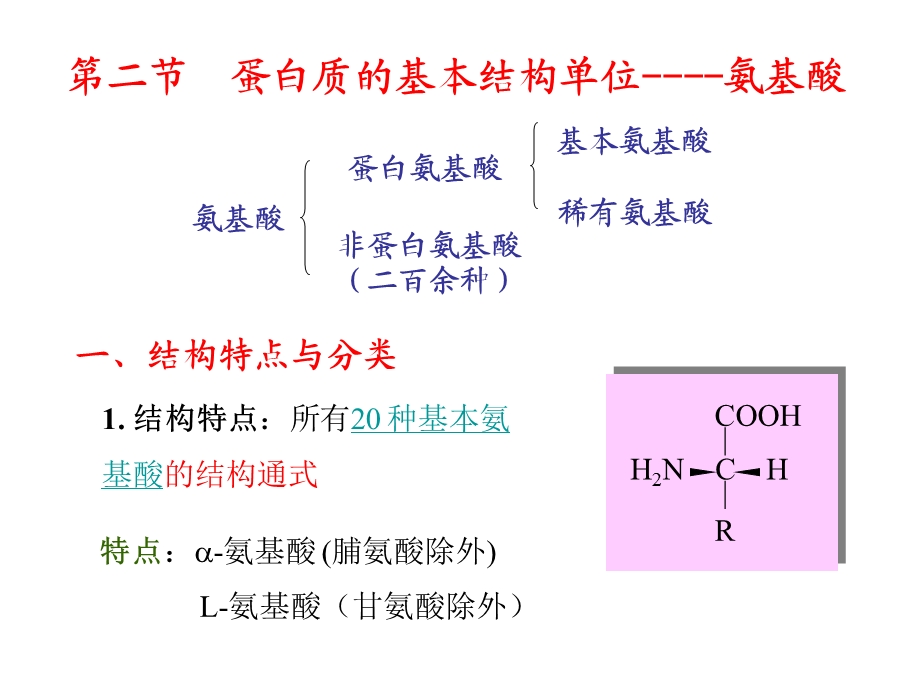 第一部分蛋白质.ppt_第3页