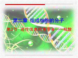 第二章第三节遗传信息的携带者—核酸.ppt