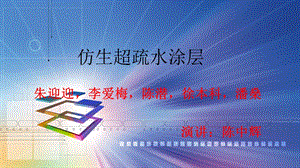 《纳米疏水涂料》PPT课件.ppt