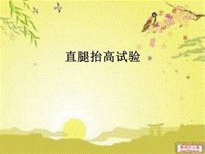 《直腿抬高试验》PPT课件.ppt