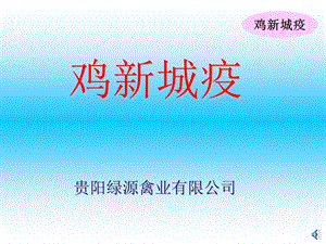 《鸡新城疫培训》PPT课件.ppt