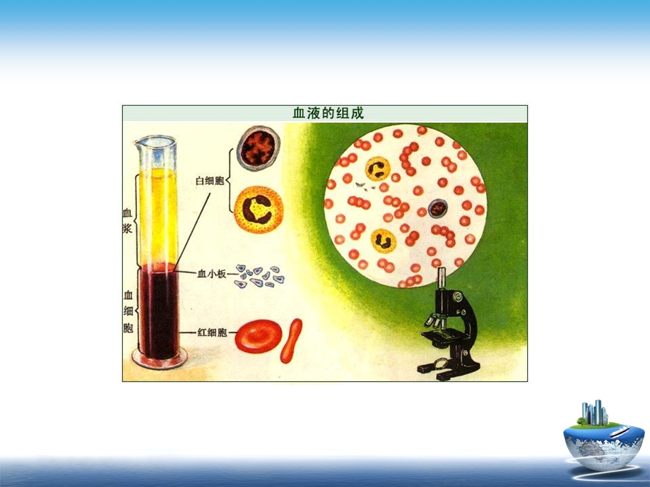 《血型的遗传》PPT课件.ppt_第2页