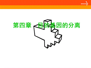 《目基因分离》PPT课件.ppt