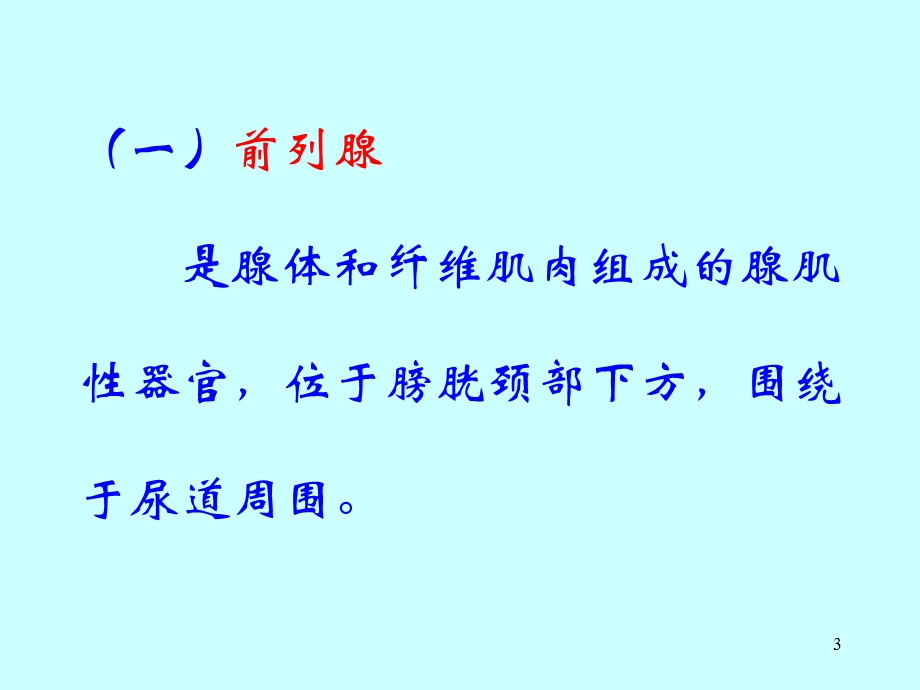 泌尿及男性生殖系超声检查陈受田重庆医大.ppt_第3页