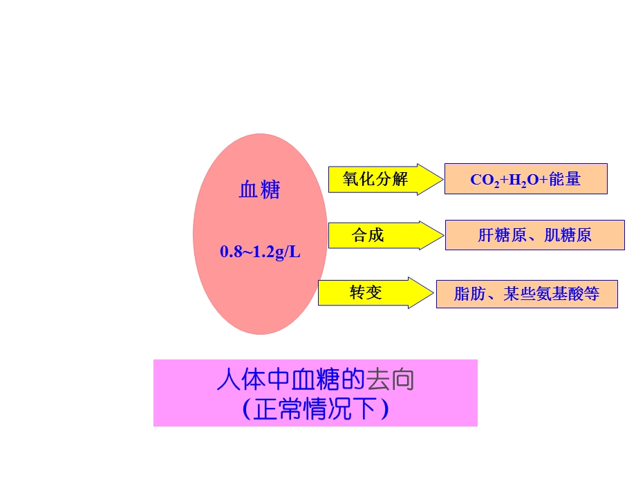 第二部分动物和人体生命活动的调部分.ppt_第3页