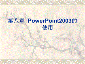 第八章PowerPoint2003的使用.ppt