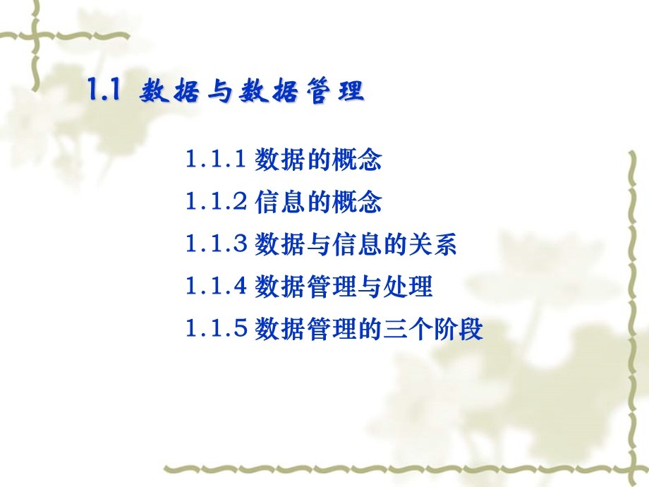 chapter11数据与数据管理三阶段.ppt_第1页