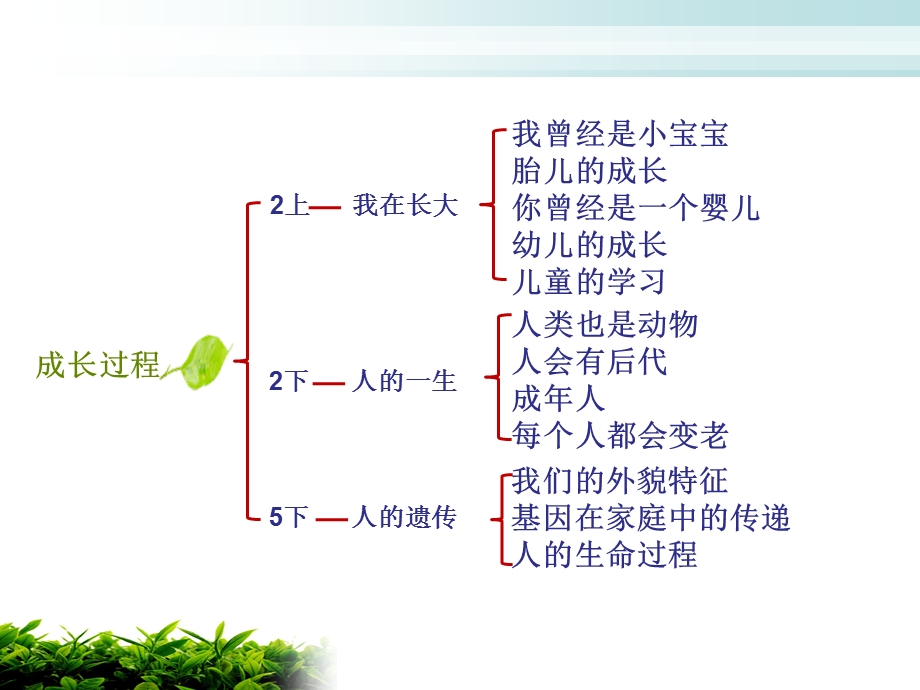 金山区第一实验小学.ppt_第3页