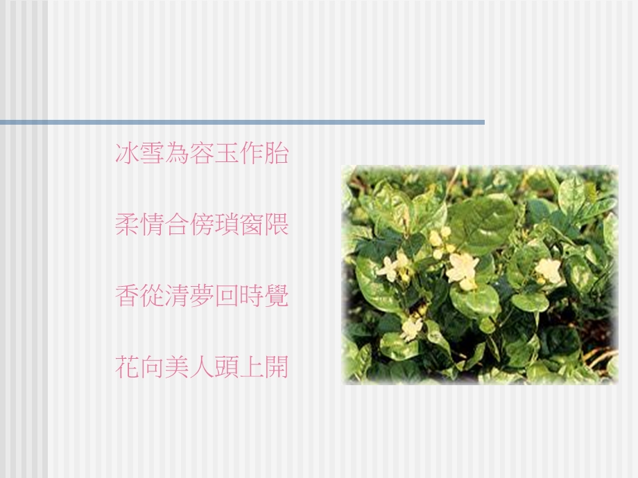 《花香满燕雾堡》PPT课件.ppt_第3页