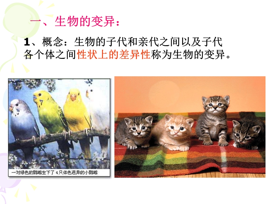 【教学课件】第四节基因突变和基因重组.ppt_第2页