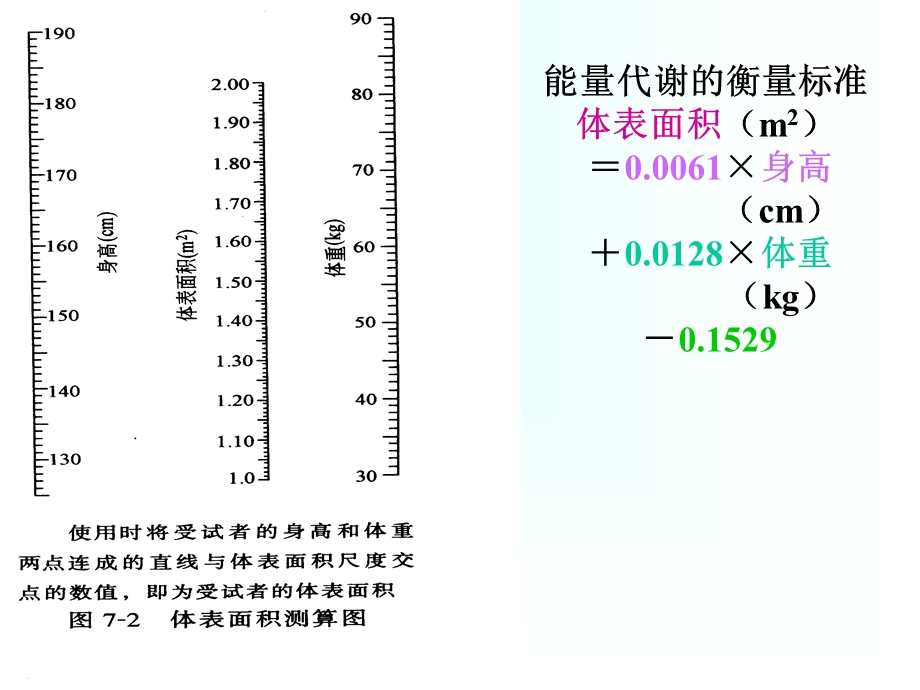 【教学课件】第七章能量代谢与体温.ppt_第3页