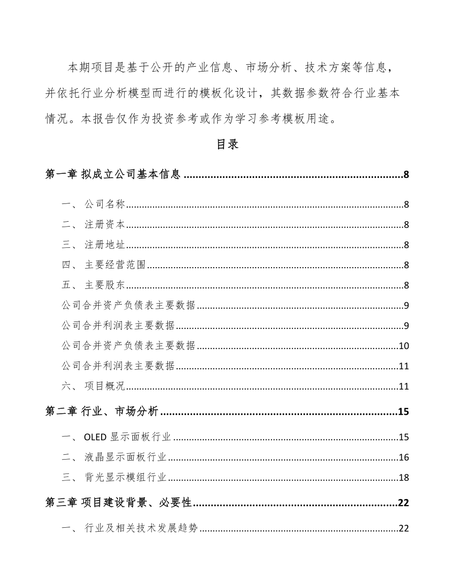 厦门关于成立背光显示模组公司报告.docx_第3页