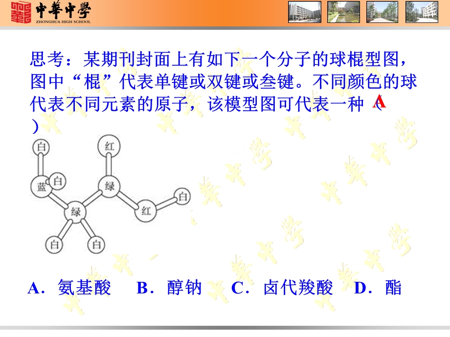 第三节蛋白质和核酸第一课时.ppt_第2页