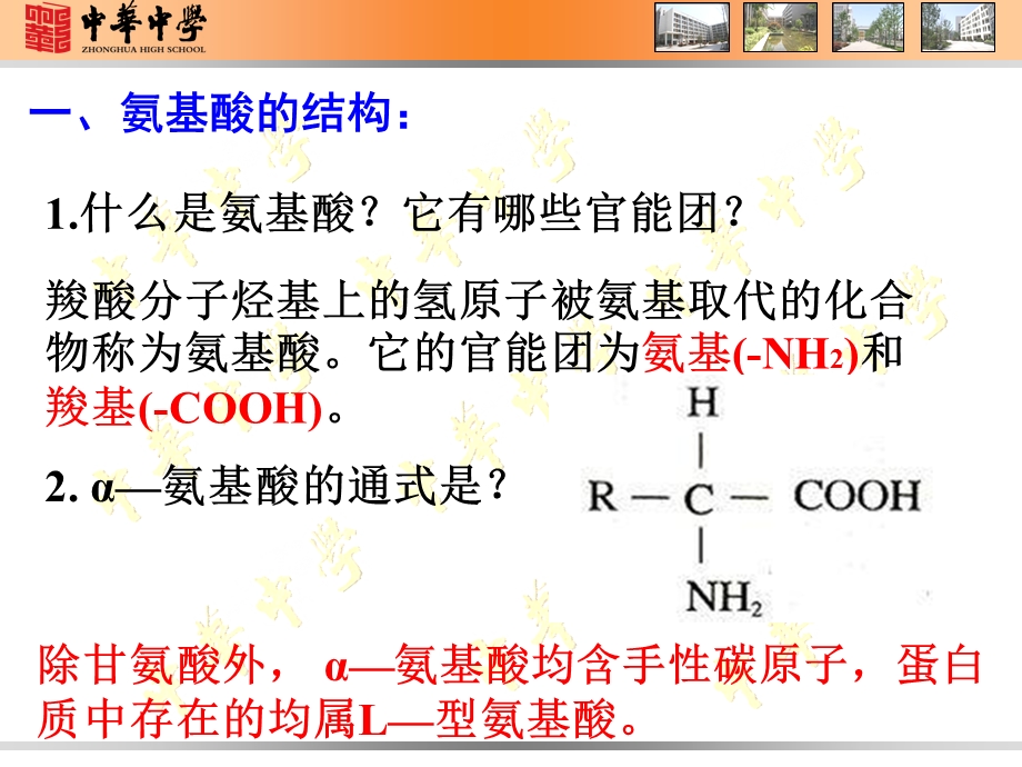 第三节蛋白质和核酸第一课时.ppt_第3页