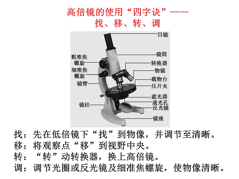 【教学课件】第一讲细胞概述、细胞壁、质膜、物质出入细胞的方式.ppt_第2页