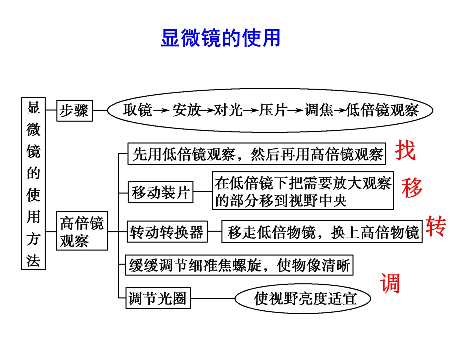 【教学课件】第一讲细胞概述、细胞壁、质膜、物质出入细胞的方式.ppt_第3页