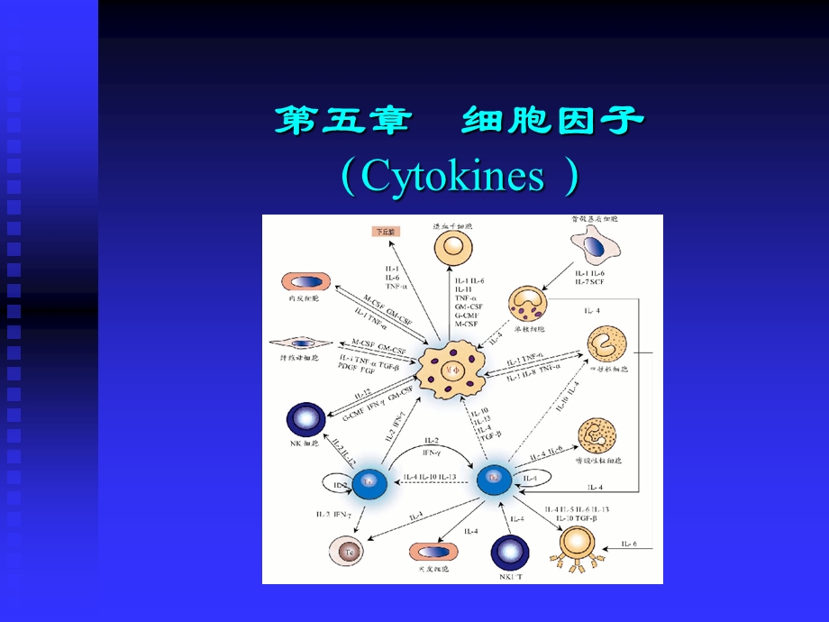 第五章细胞因子.ppt_第1页