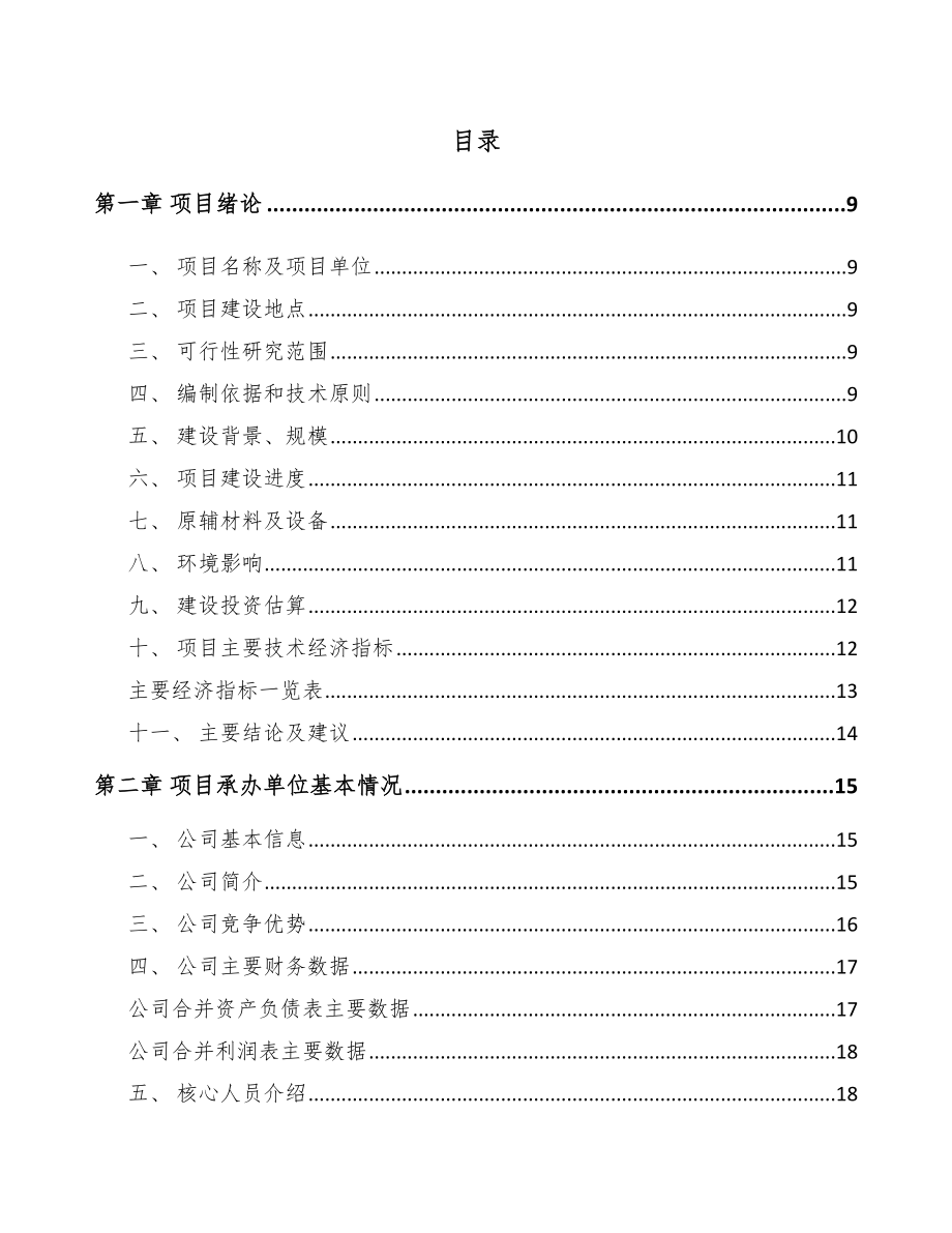 厦门火花塞项目可行性研究报告.docx_第2页