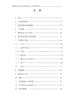 潼南电镀产业园可研报告.doc