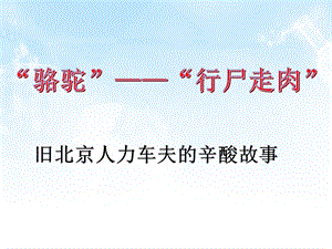 《骆驼祥子》名著导读(经典).ppt