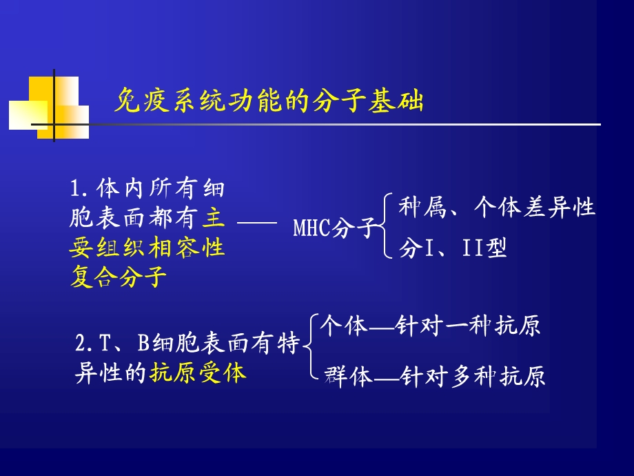 免疫系统(本科).ppt_第3页