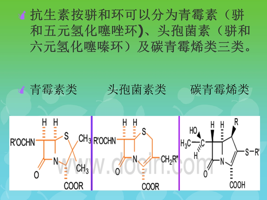 抗生素类药物的分析.ppt_第2页