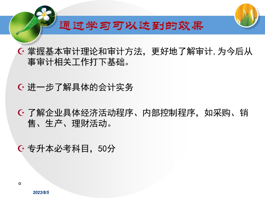 《编审计原理与实务》PPT课件.ppt_第3页