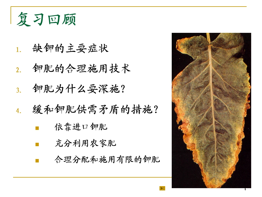 【教学课件】第13章植物的微量元素营养与微量元素肥料.ppt_第1页