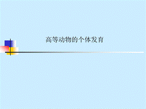 高等动物个体发育.ppt