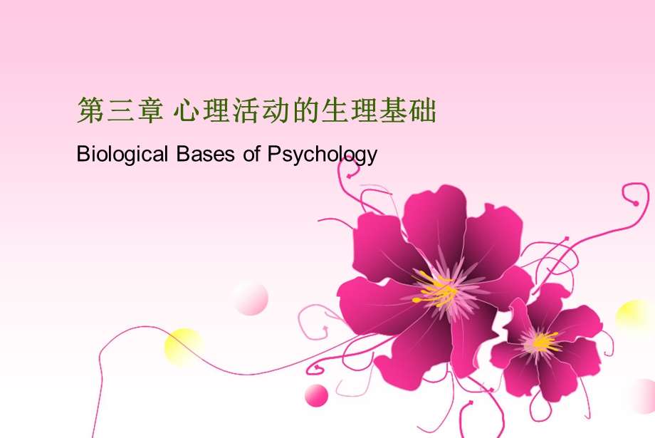 心理学概论第三章 心理活动的生理基础.ppt_第1页