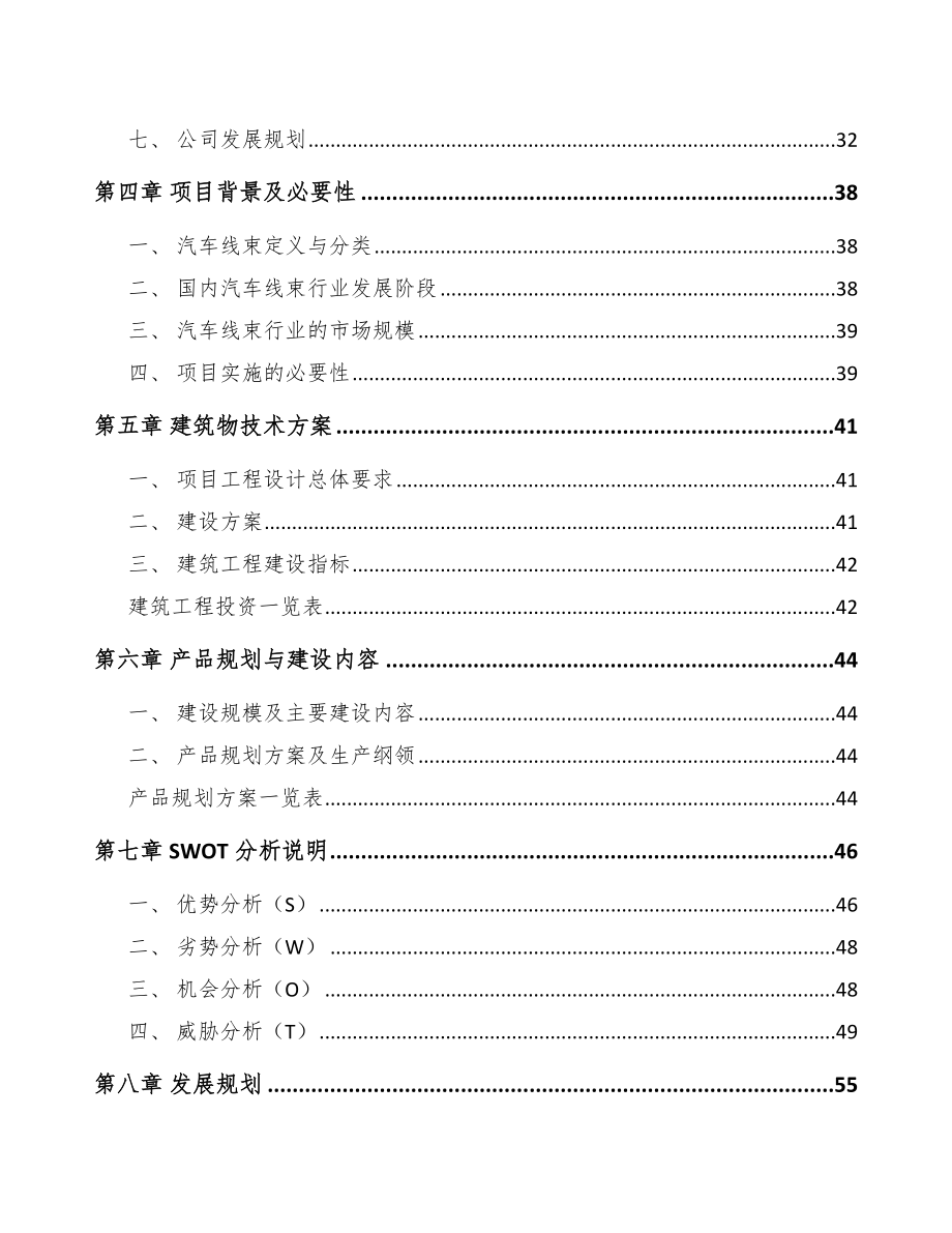 厦门汽车线束项目可行性研究报告.docx_第3页