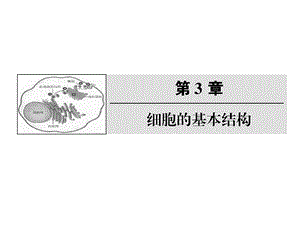 B1细胞质.ppt