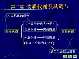 第二篇物质代谢及其调部分.ppt