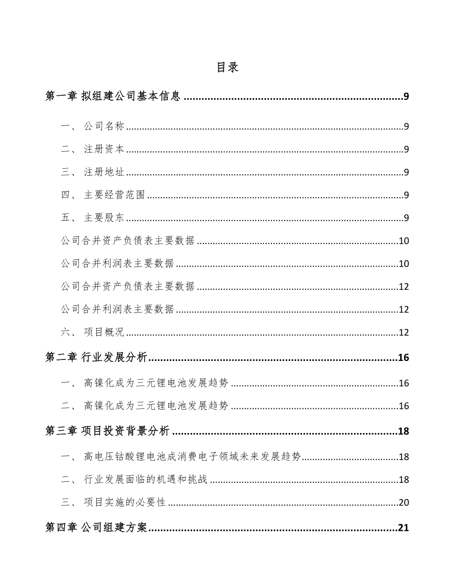 厦门关于成立锂电池正极材料前驱体公司可行性研究报告.docx_第2页