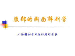 腹部的断面解剖学.ppt