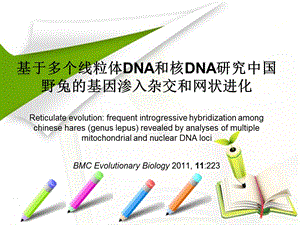 《网状进化》PPT课件.ppt