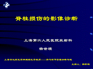 脊柱损伤的影像诊断.ppt