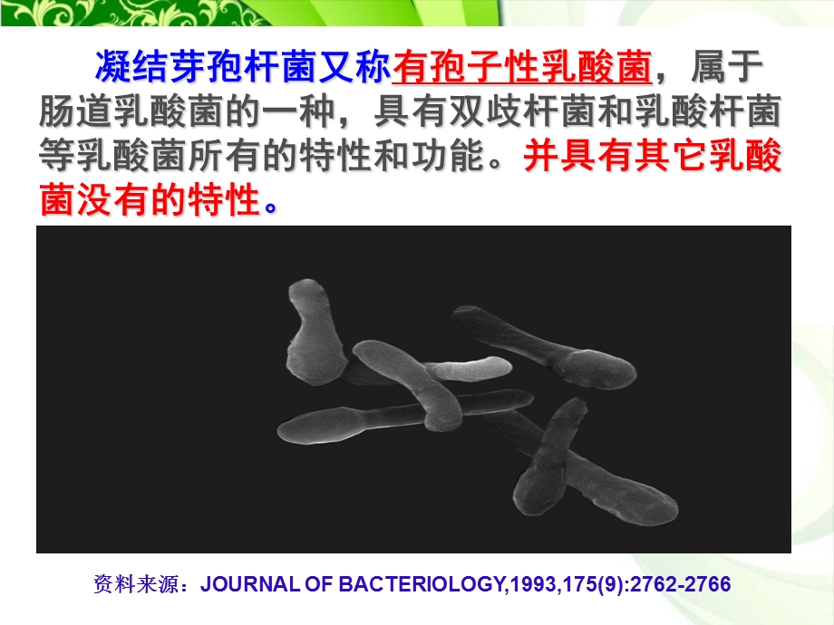 凝结芽孢杆菌活菌片.ppt_第2页