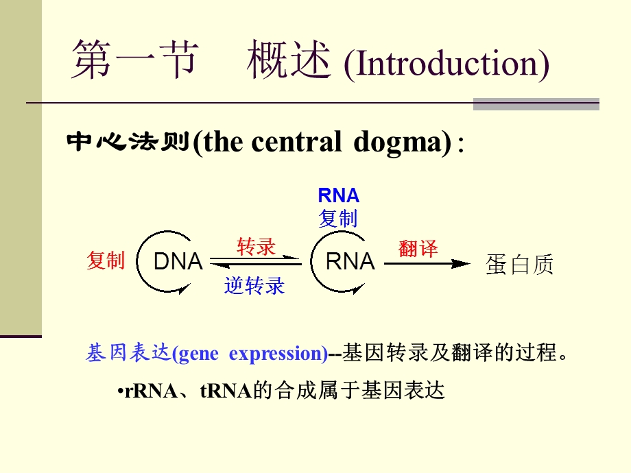 【教学课件】第十一章基因表达的调控.ppt_第2页