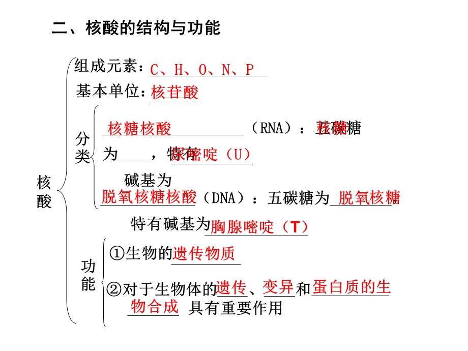 第4课时遗传信息的携带者—核酸细胞中的糖类和脂质.ppt_第3页