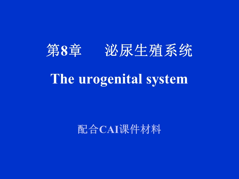 【教学课件】第8章泌尿生殖系统Theurogenitalsystem.ppt_第1页