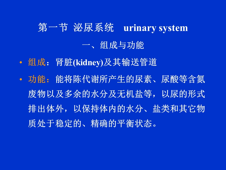 【教学课件】第8章泌尿生殖系统Theurogenitalsystem.ppt_第3页