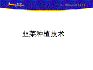 《韭菜种植技术》PPT课件.ppt