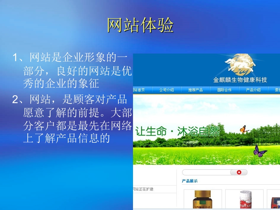 741网络营销总结.ppt_第2页