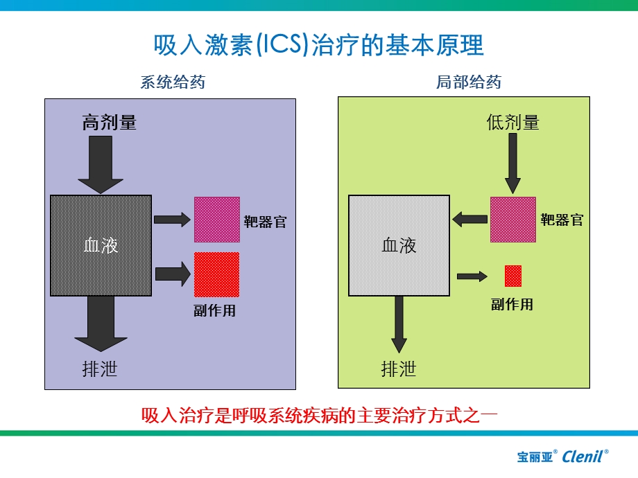 丙酸倍氯米松的药.ppt_第2页