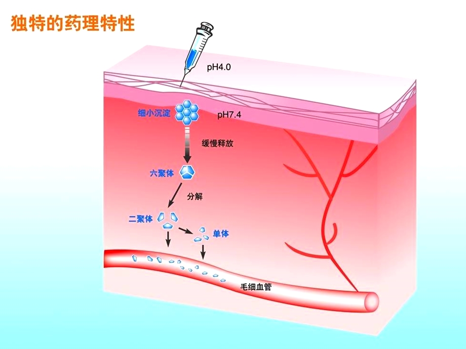 《长秀霖与速秀霖》PPT课件.ppt_第3页